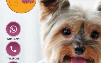 Pet Shop Beleza Animal