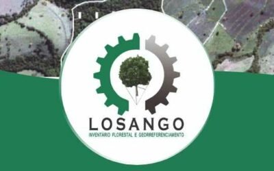 Losango – Inventário Florestal e Georreferenciamento