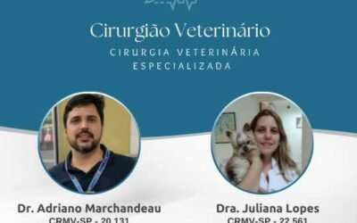 Cirurgião Veterinário – Cirurgia Veterinária Especializada – Dr. Adriano e Dra. Juliana