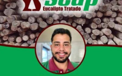 Breno Rodrigo – Seap Eucalipto Tratado