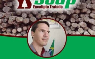 Lucas Bortoletto – Seap Eucalipto Tratado