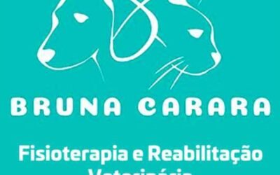 Bruna Carara – Fisioterapia e Reabilitação Veterinária