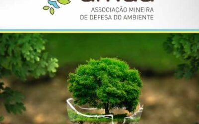 Luiz Gustavo – amda