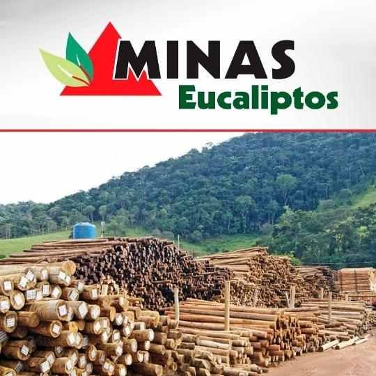 Minas Eucaliptos
