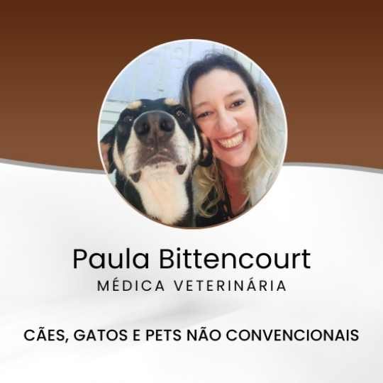 Paula Bittencourt – Médica Veterinária