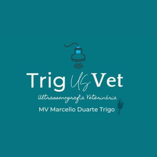 Marcello Duarte Trigo – Trigusvet