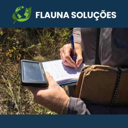 Flauna Soluções