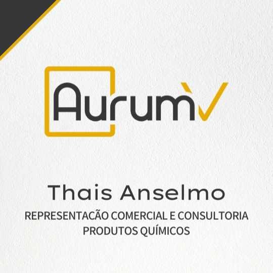 Thais Anselmo – Aurum V