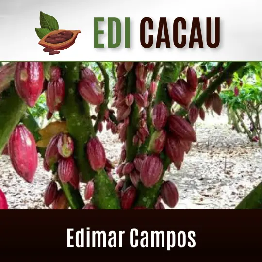 Edimar Campos – Edi Cacau