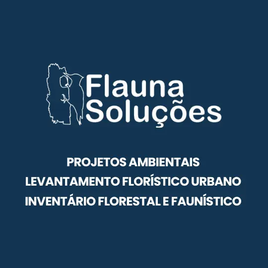 Flauna Soluções