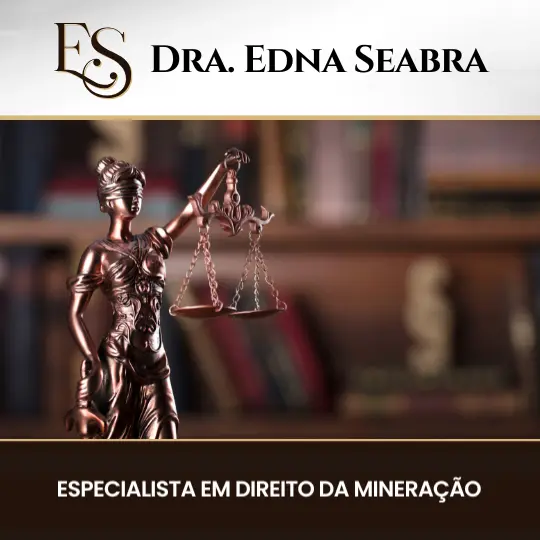 Dra. Edna Seabra – Especialista em Direito da Mineração