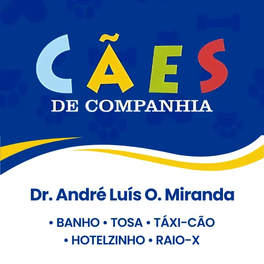 Dr. André Luís Oliveira de Miranda – Cães de Companhia